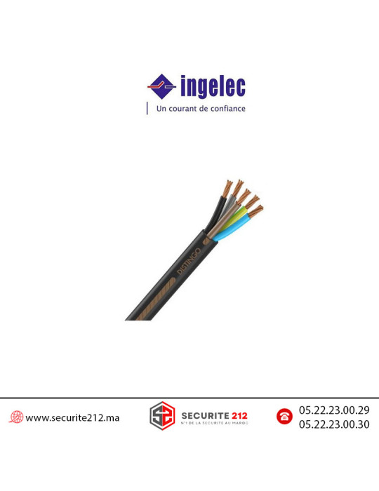 Câble souple Ingelec 5x6mm² U1000 RV-K Casablanca Maroc